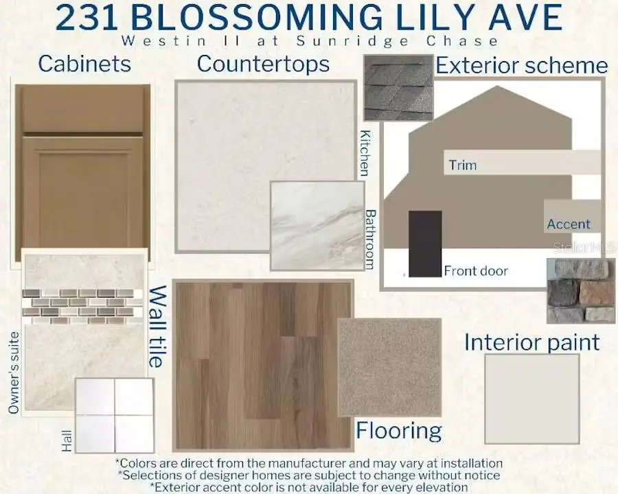 231 Blossoming Lily Avenue, Ruskin, FL 33570 - #3