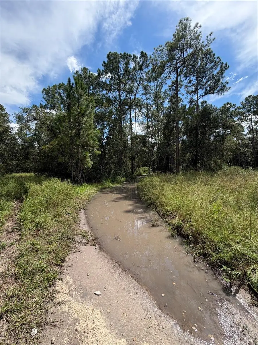 1746 Country Woods Drive, Lakeland, FL 33809 - #2