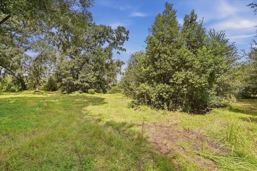2929 Al Simmons Road, Dover, FL 33527 - #2