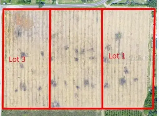 Golden Bough Road, Lake Wales, FL 33898 - #1