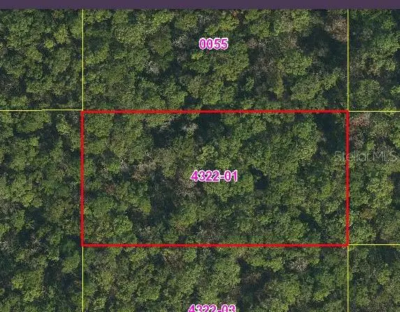 Sweetwater Trail, Kissimmee, FL 34747 - #3