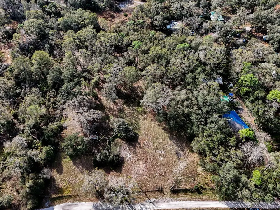 40550 Sutorus Road, Zephyrhills, FL 33540 - #2