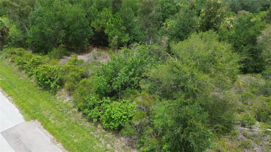 1039 Gibbon Street, Port Charlotte, FL 33953 - #3