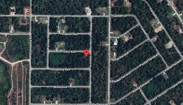 14499 Gary Avenue, PORT CHARLOTTE, FL 33953
