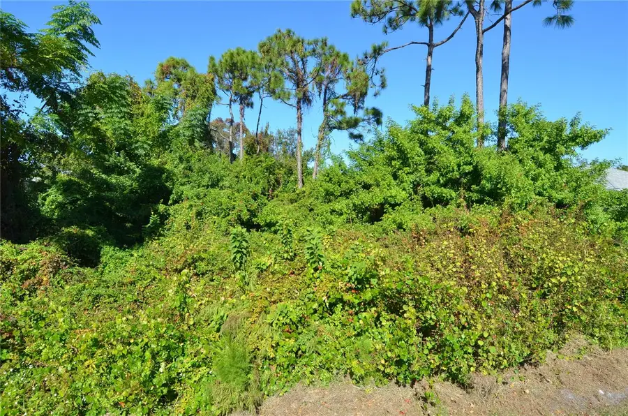 0 Cabana Road, Venice, FL 34293 - Image #3