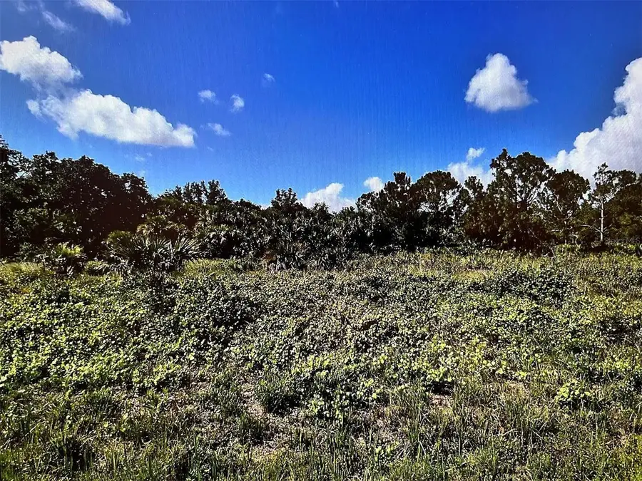 Durango Avenue, North Port, FL 34287 - Image #3