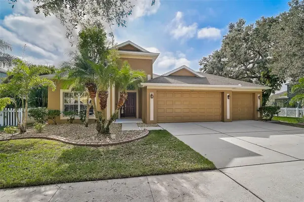 10115 Caraway Spice Avenue, RIVERVIEW, FL 33578