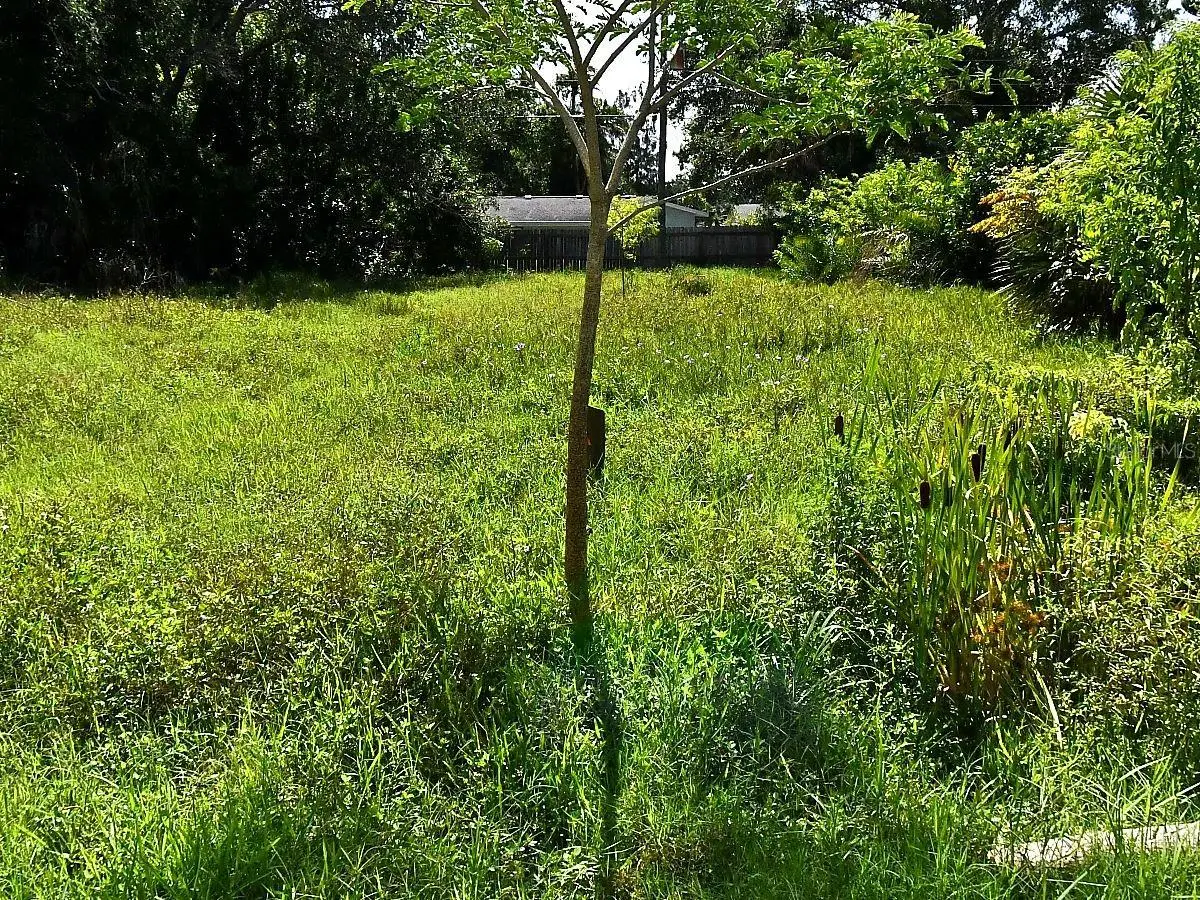 Olive Avenue, Nokomis, FL 34275 - #1