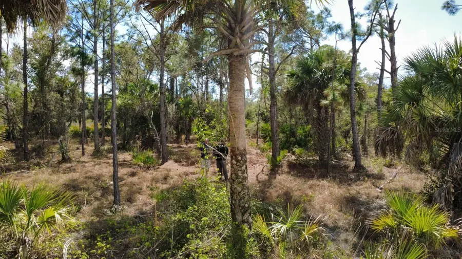 17455 Bly Avenue, Port Charlotte, FL 33948 - #3