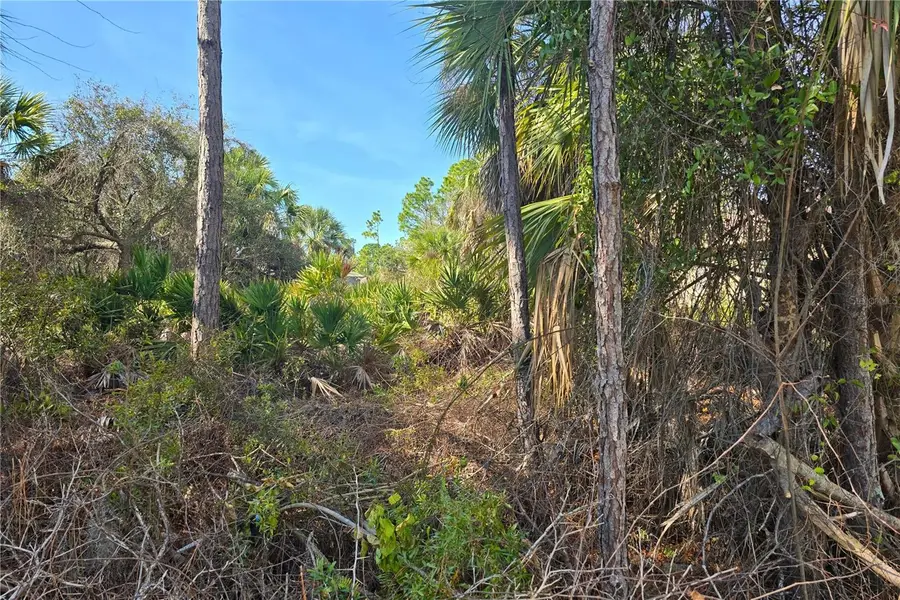 Lot 29 / Block 254 Allegheny Lane, North Port, FL 34286 - #3