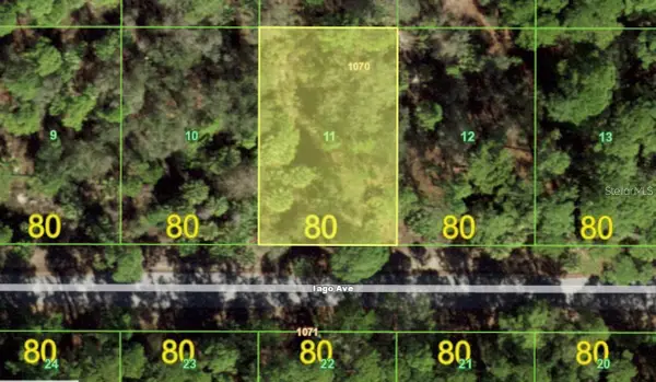 17460 Iago Avenue, PORT CHARLOTTE, FL 33954