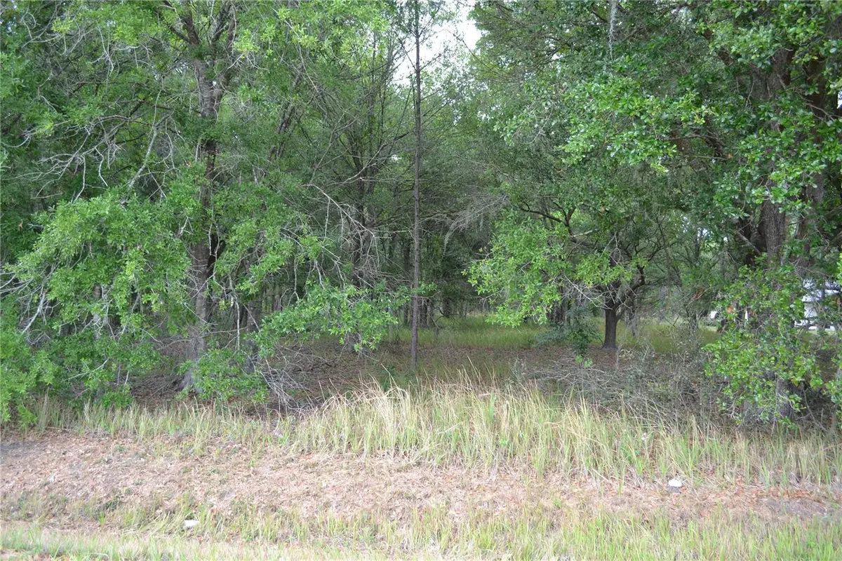 Bostick Road, Bowling Green, FL 33834 - #1