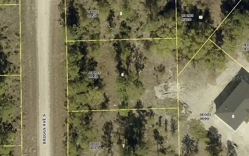 315 Briggs Avenue S, Lehigh Acres, FL 33974 - #1