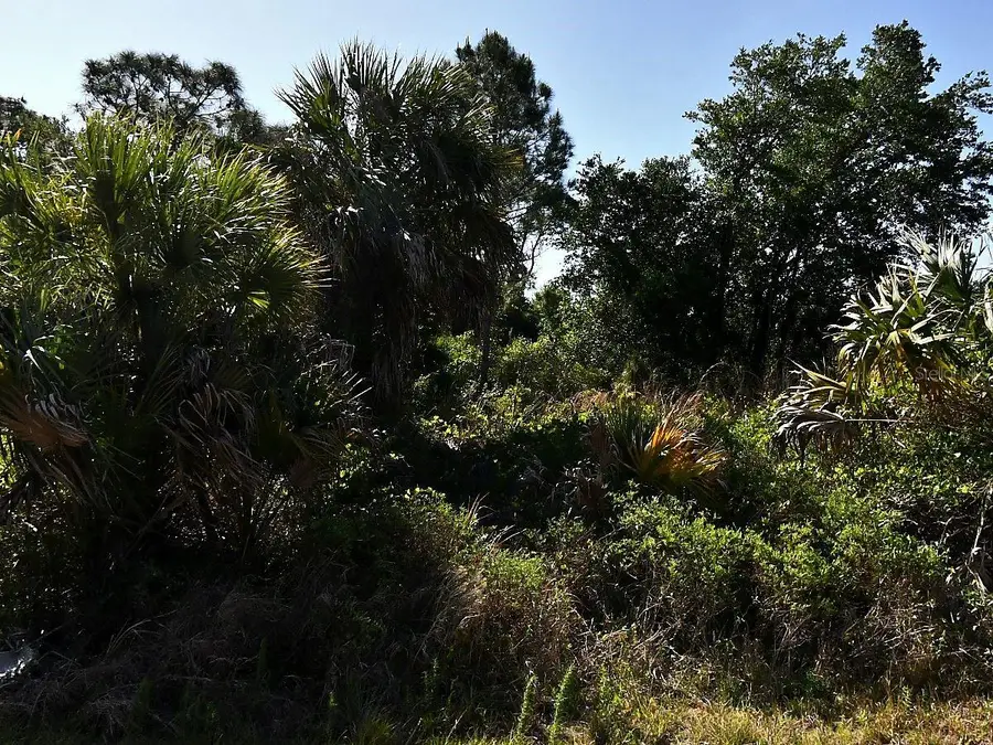 Lot 2 Bannock Circle, North Port, FL 34288 - #3