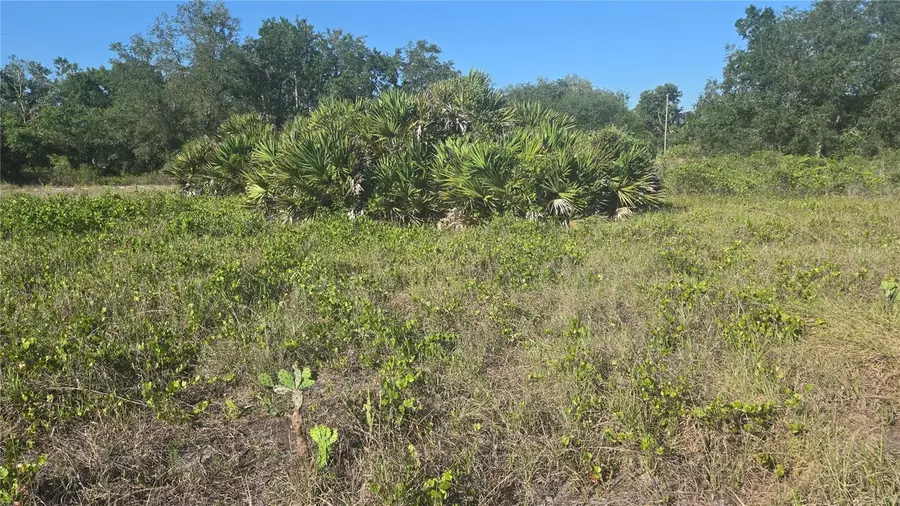 2643 W Bandra Road, Avon Park, FL 33825 - #2