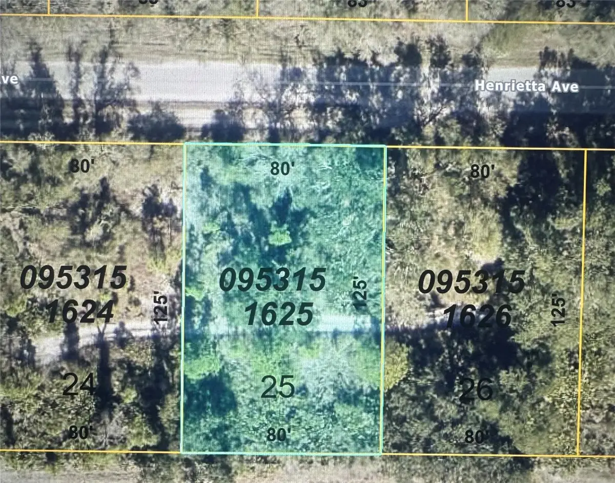 Henrietta Avenue, North Port, FL 34291 - #1