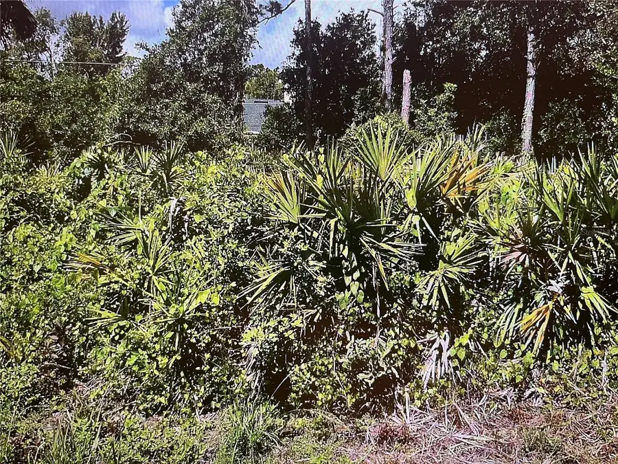 LOT 14&15 Paola Street, North Port, FL 34287 - #2