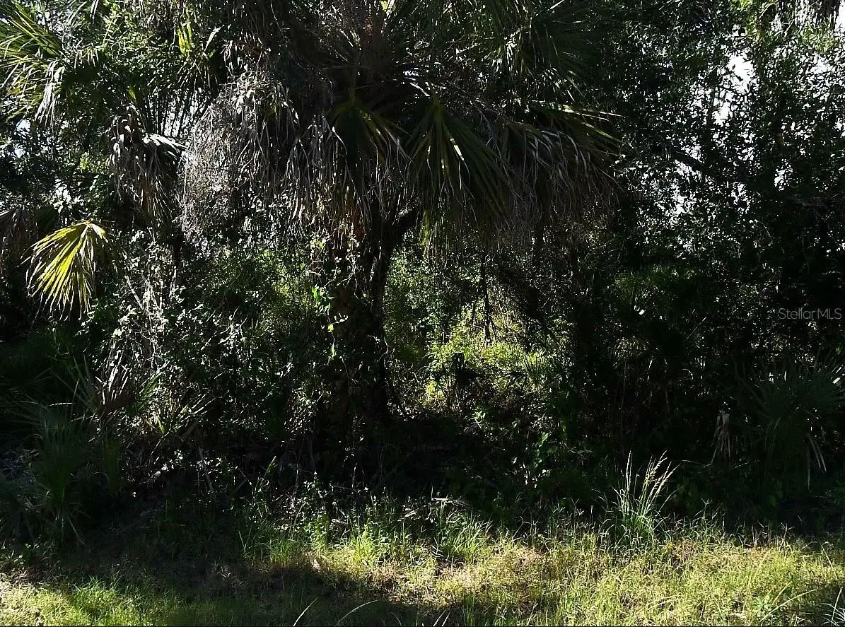 Desco Road, North Port, FL 34286 - #1