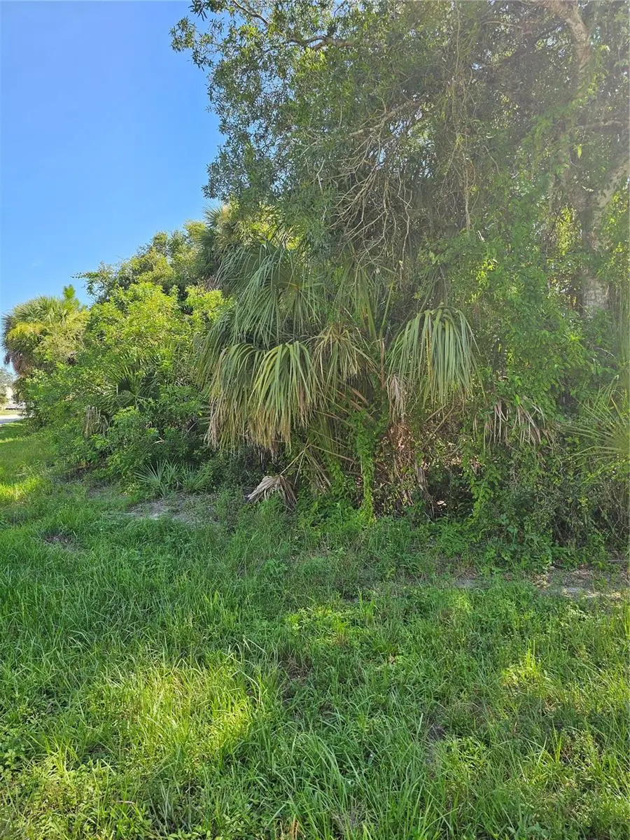 18129 Sinatra Avenue, Port Charlotte, FL 33954 - #1