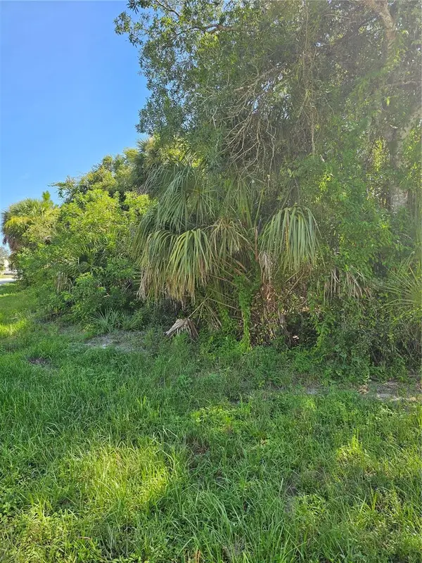 18129 Sinatra Avenue, PORT CHARLOTTE, FL 33954