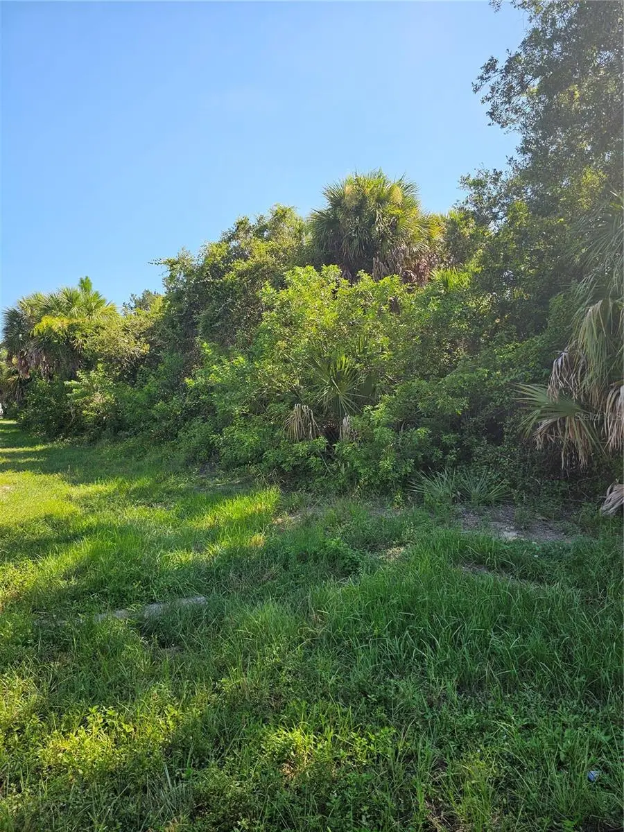 18129 Sinatra Avenue, Port Charlotte, FL 33954 - #3
