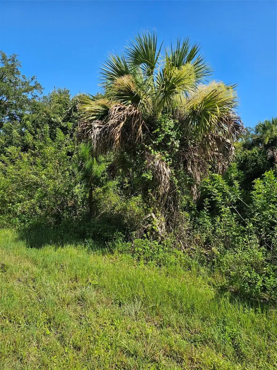 18137 Sinatra Avenue, Port Charlotte, FL 33954 - #2