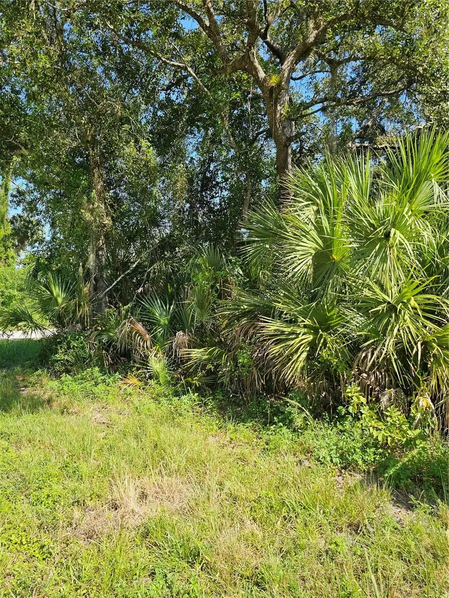 18137 Sinatra Avenue, Port Charlotte, FL 33954 - #3