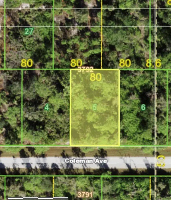 11988 Coleman Avenue, PORT CHARLOTTE, FL 33981