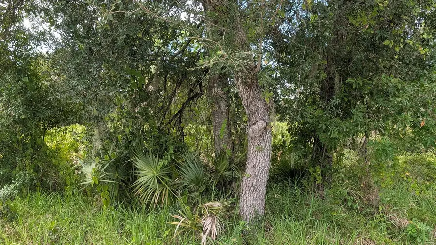 3241 Douglas Road, Port Charlotte, FL 33980 - #2