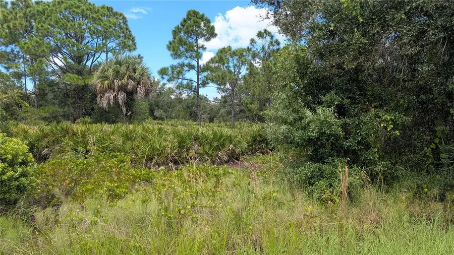 3241 Douglas Road, Port Charlotte, FL 33980 - #3