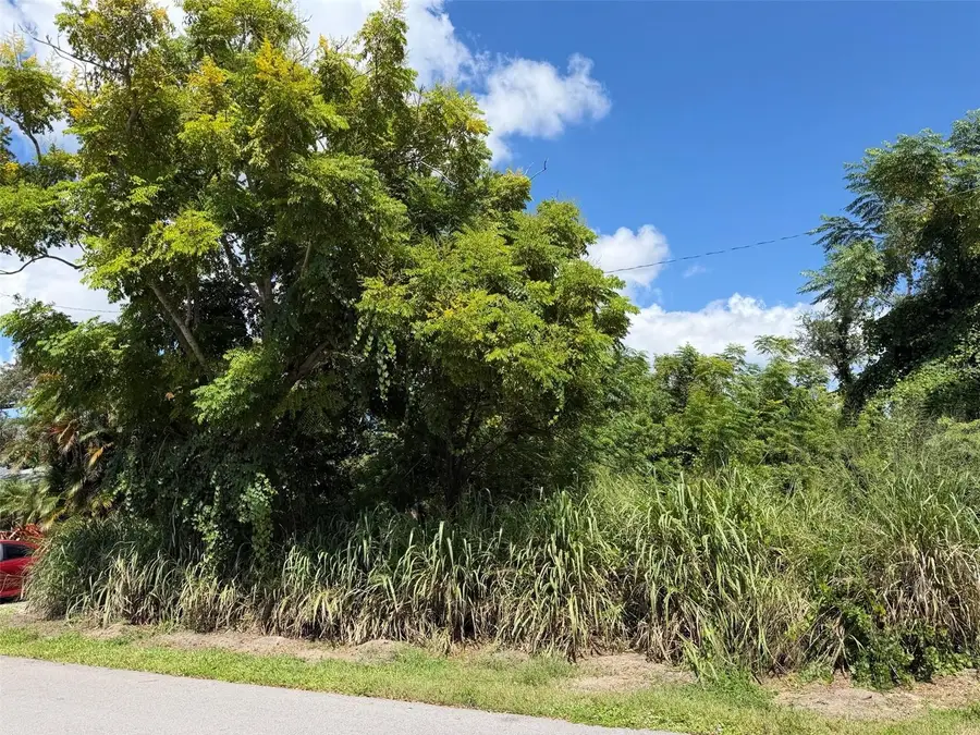 Rainbow Road, Venice, FL 34293 - #3