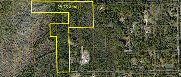 Cedar Road, NEW SMYRNA BEACH, FL 32168