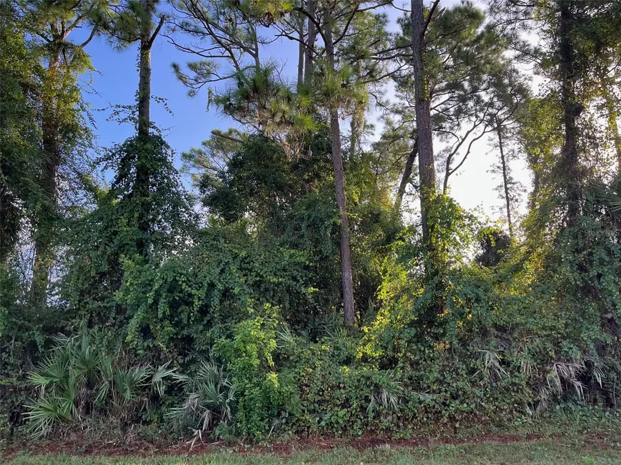 1927 Travelers Palm Drive, Edgewater, FL 32141 - Image #2