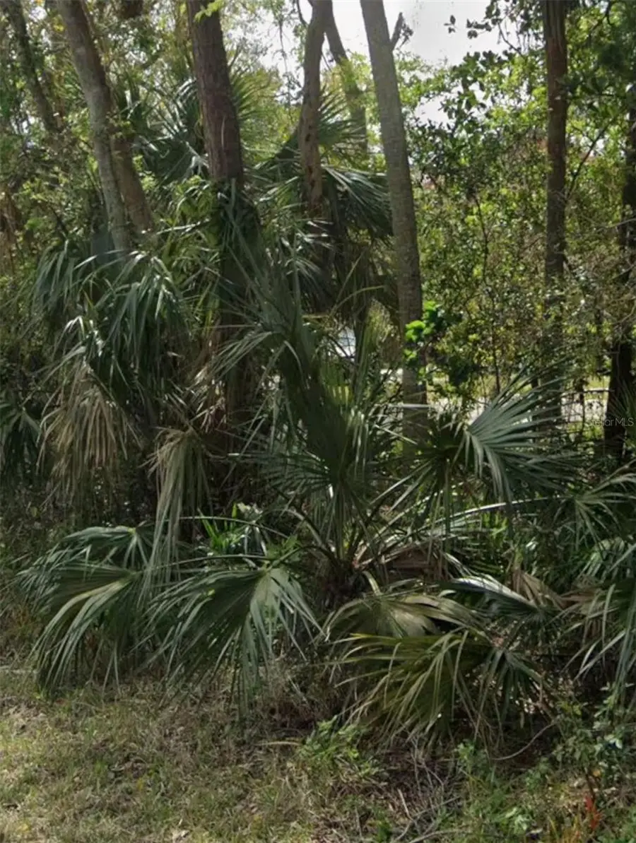 960 Mcdonald, Port Orange, FL 32129 - Image #3