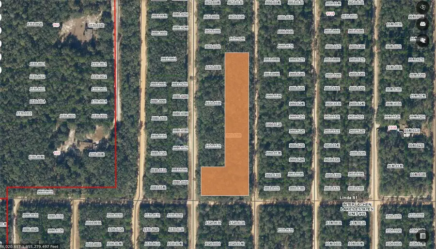 Linda, Interlachen, FL 32148 - #2