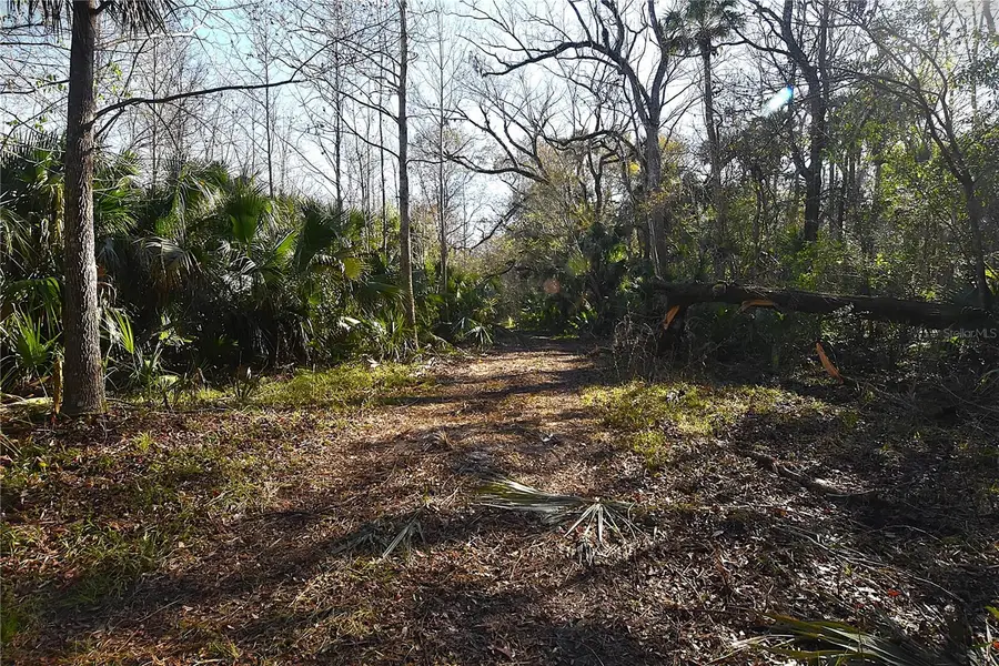 4721 Lingo Grove Road, Edgewater, FL 32141 - Image #2