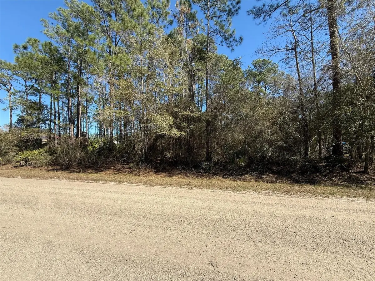 1573 Laurel Avenue, Bunnell, FL 32110 - #1