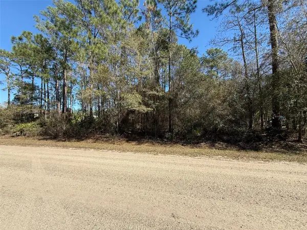 1573 Laurel Avenue, BUNNELL, FL 32110