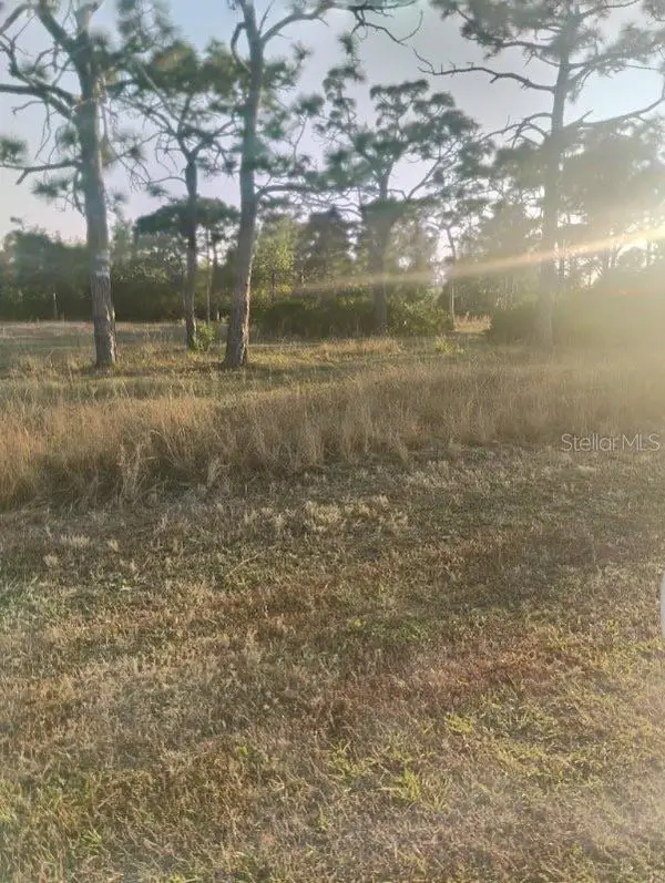 6820 Stringfellow Road, ST JAMES CITY, FL 33956