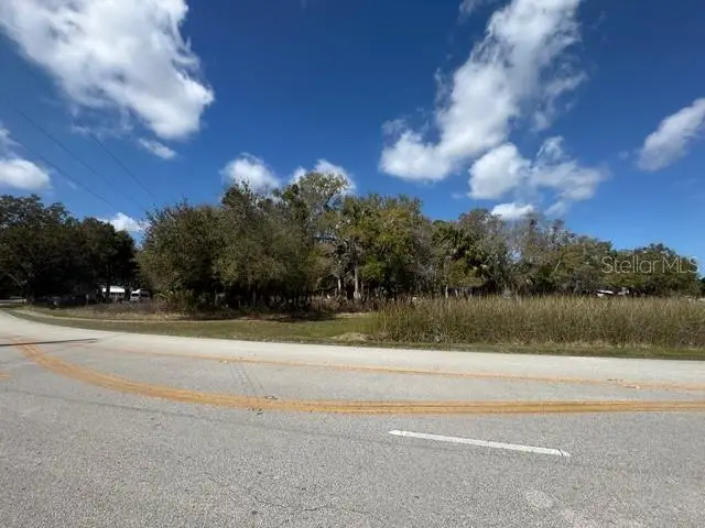 Wallace Road, New Smyrna Beach, FL 32168 - #1