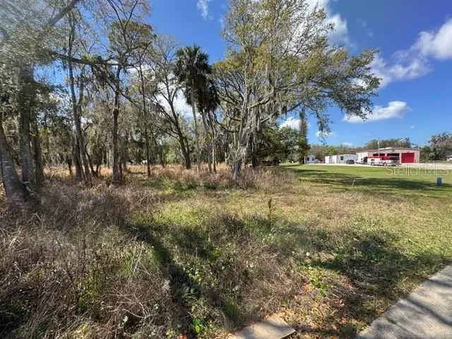 Wallace Road, New Smyrna Beach, FL 32168 - #3