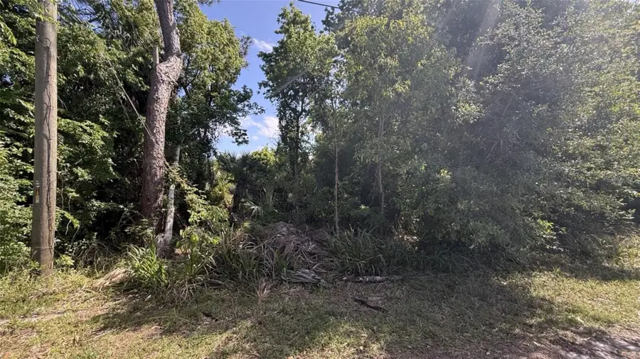 0 Cherry Street, New Smyrna Beach, FL 32168 - #3