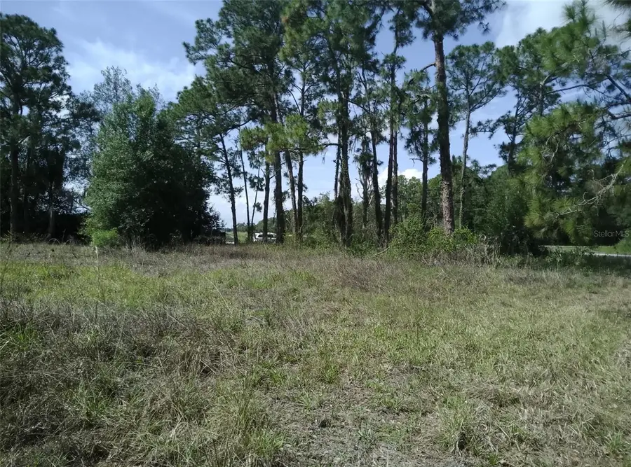 705 Horse Club Avenue, Clewiston, FL 33440 - #2