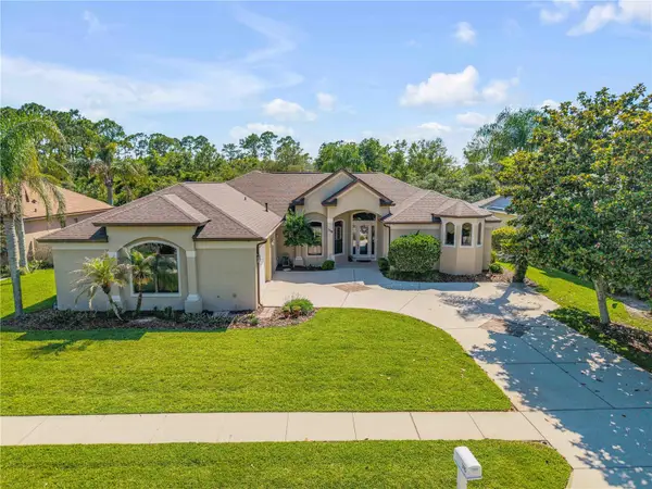 315 Eagles Eye Court, NEW SMYRNA BEACH, FL 32168