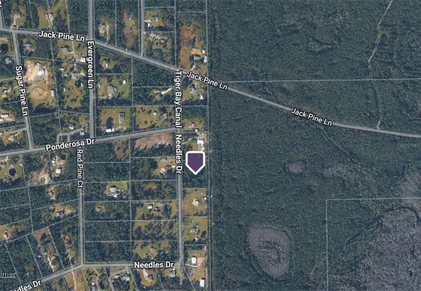 442 Needles Drive, ORMOND BEACH, FL 32174