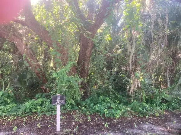 0 Nancy Street, OAK HILL, FL 32759
