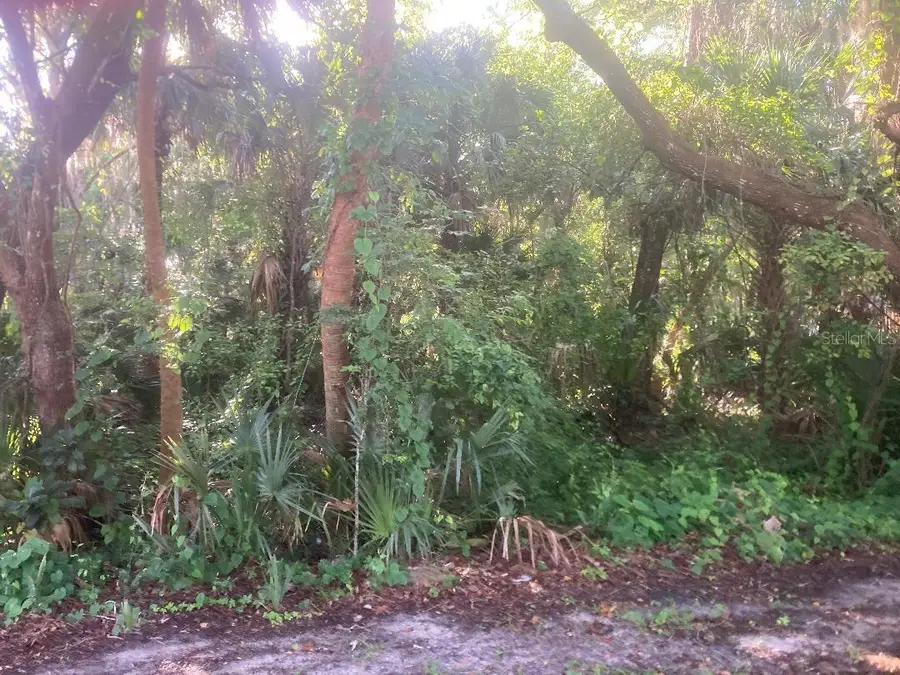 0 Nancy Street, Oak Hill, FL 32759 - #2