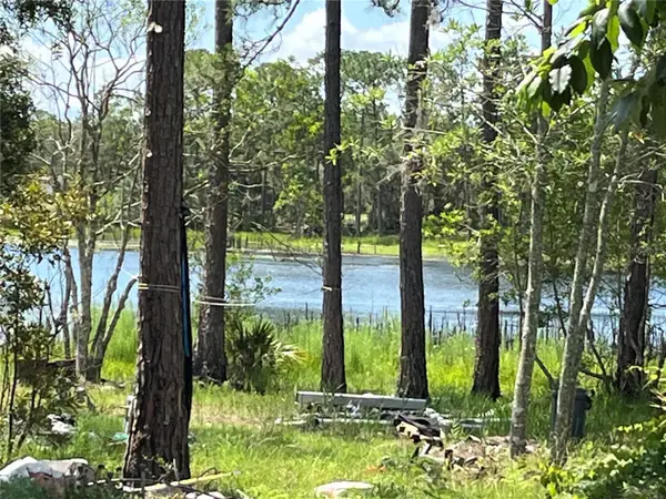 42334 W Lake Road, DELAND, FL 32720