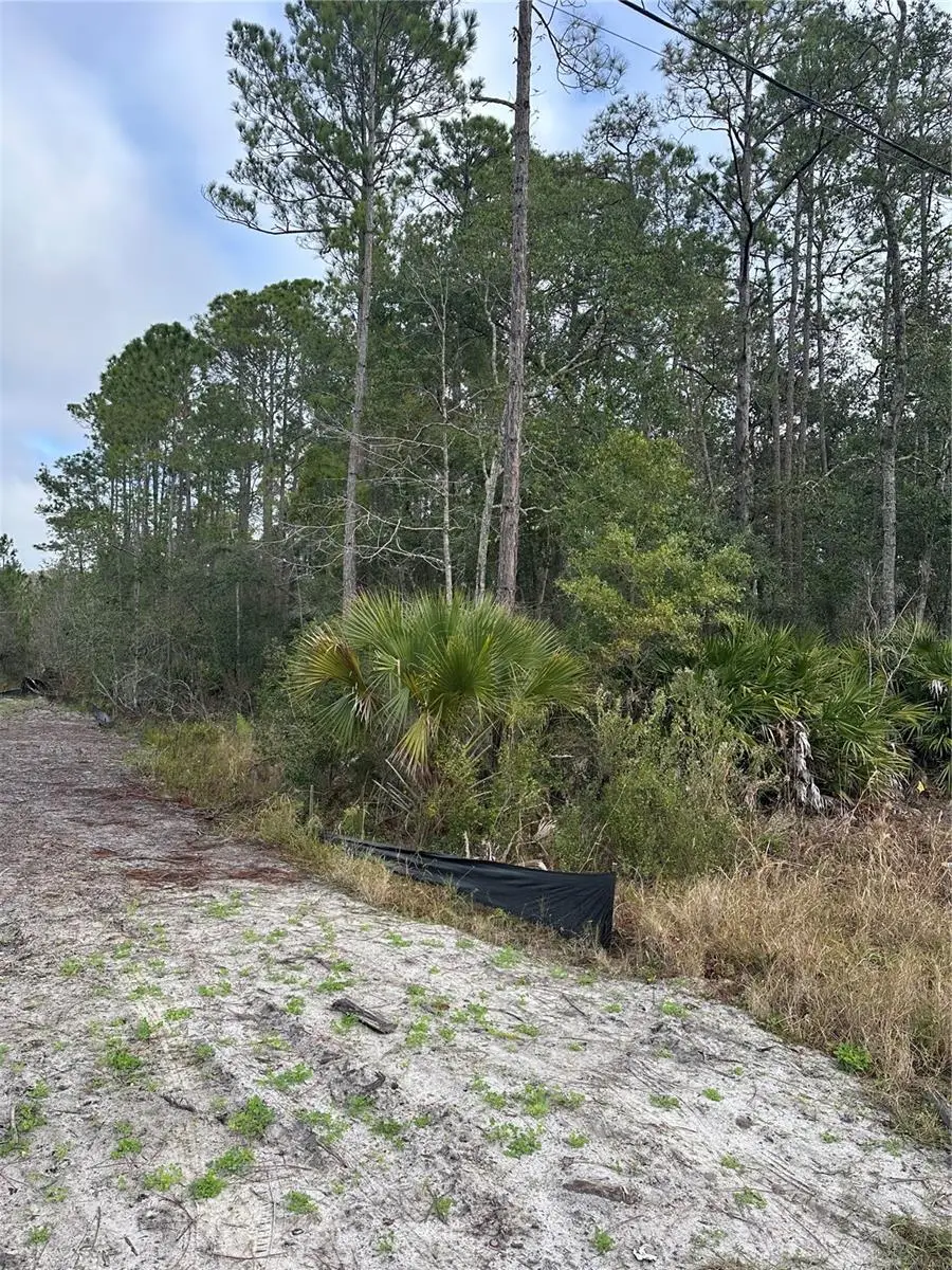 2301 10th Avenue, Deland, FL 32724 - #3