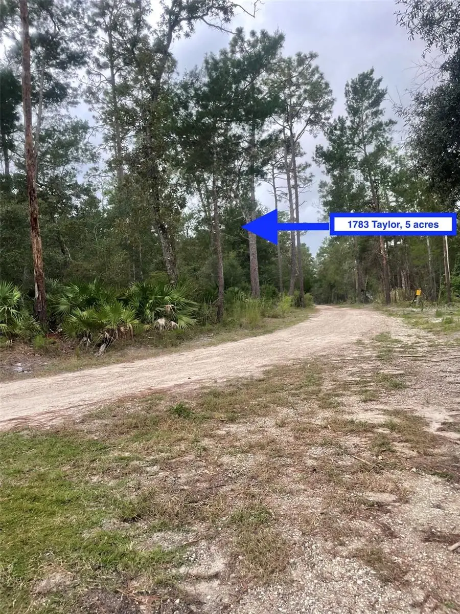1783 Taylor Road, Port Orange, FL 32128 - #2
